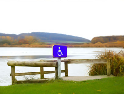 signaletique place fauteuil roulant pmr